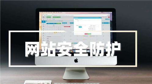 2023版 零基础入门网络安全 Web安全，收藏这一篇就够了